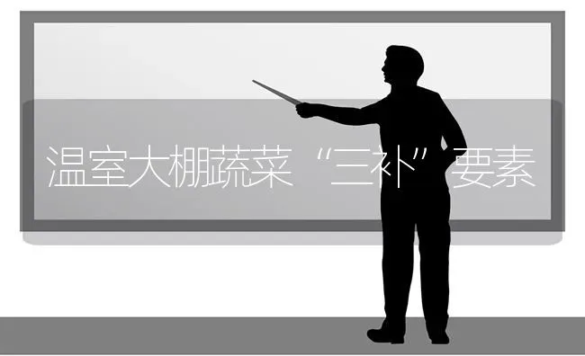 温室大棚蔬菜“三补”要素 | 蔬菜种植