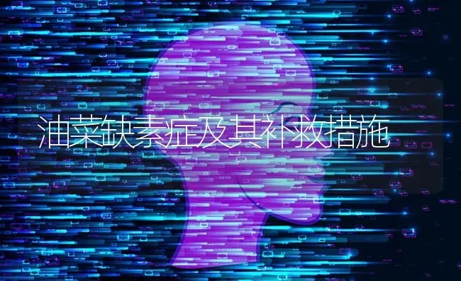 油菜缺素症及其补救措施 | 粮油作物种植