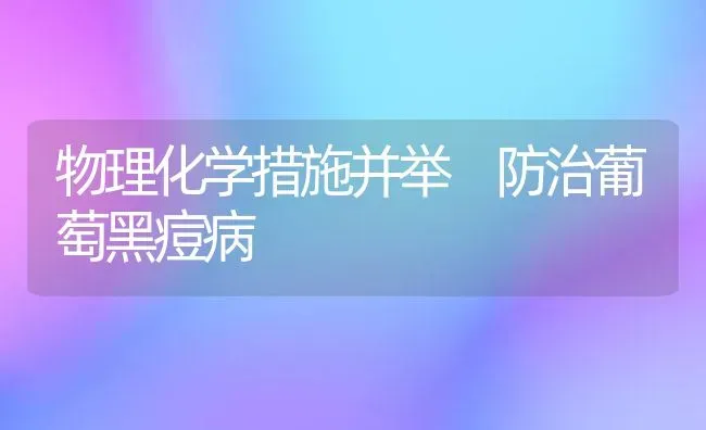 物理化学措施并举 防治葡萄黑痘病 | 瓜果种植