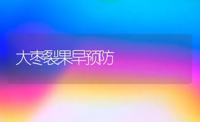 秋季白菜咋管理 专家田间送技术 | 蔬菜种植