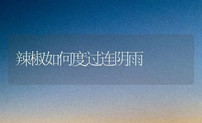 推荐几个品质优良的花椰菜品种 | 蔬菜种植