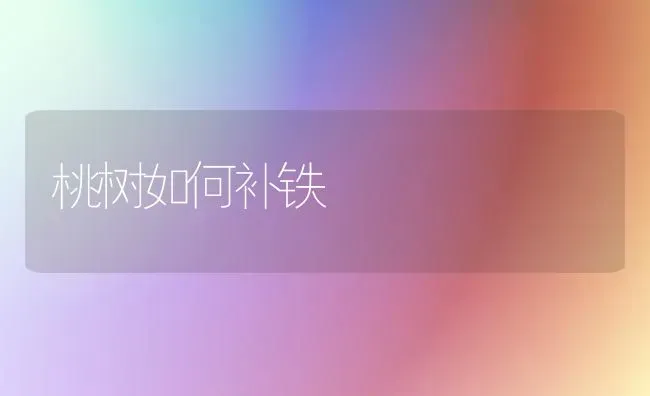 桃树如何补铁 | 瓜果种植