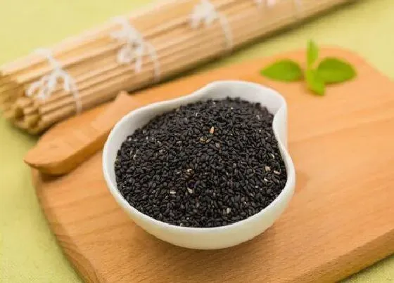 果实成熟|黑芝麻几月份成熟上市