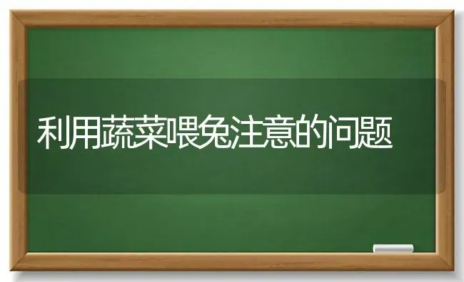 利用蔬菜喂兔注意的问题 | 蔬菜种植