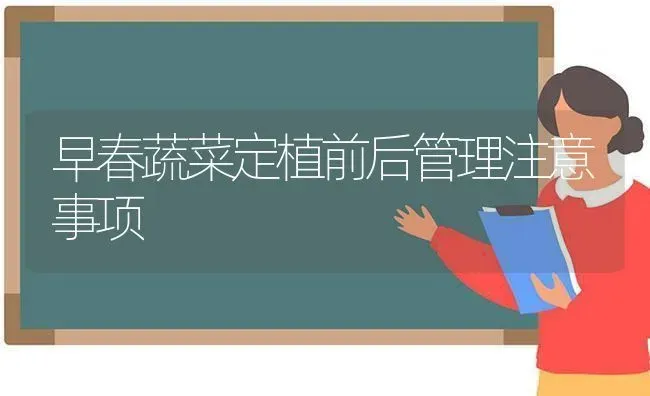 早春蔬菜定植前后管理注意事项 | 蔬菜种植