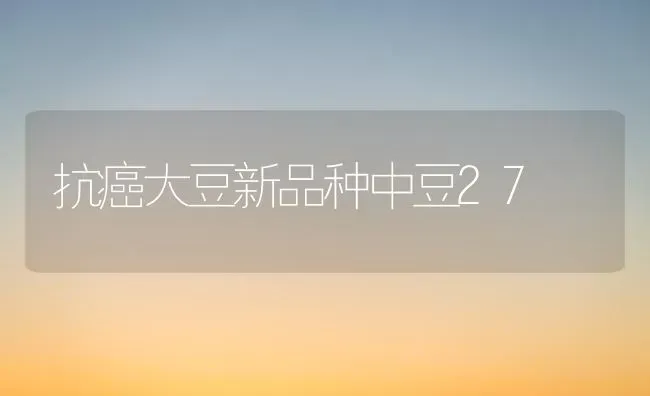 抗癌大豆新品种中豆27 | 粮油作物种植
