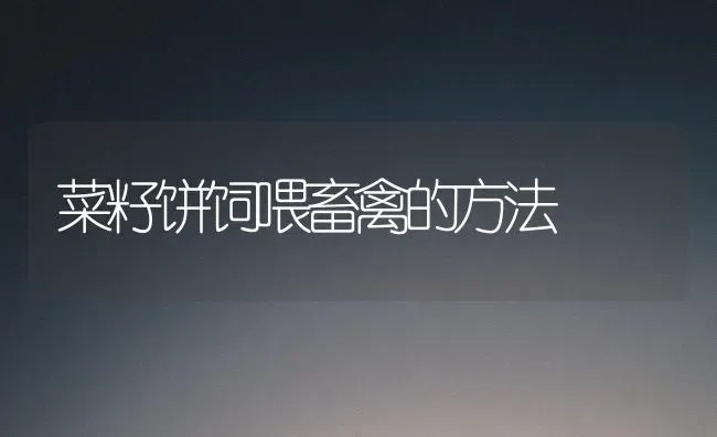 菜籽饼饲喂畜禽的方法 | 蔬菜种植