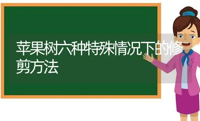 苹果树六种特殊情况下的修剪方法 | 瓜果种植