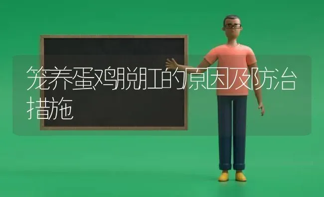 蔬菜覆膜种植的好处 | 蔬菜种植