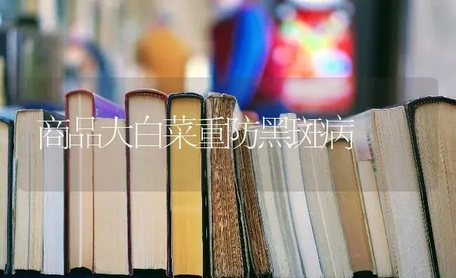 商品大白菜重防黑斑病 | 蔬菜种植