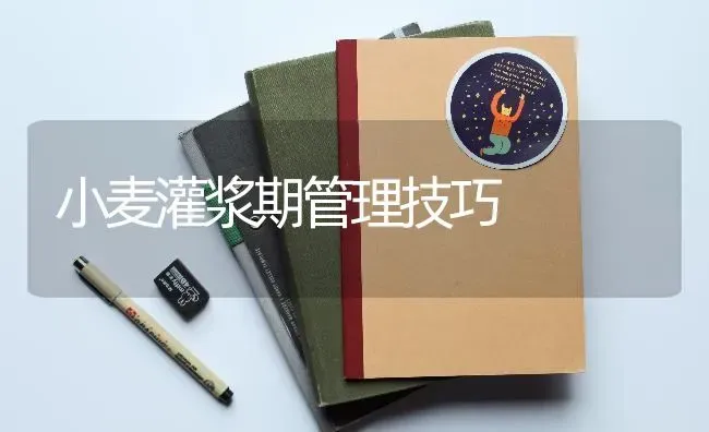 小麦灌浆期管理技巧 | 粮油作物种植
