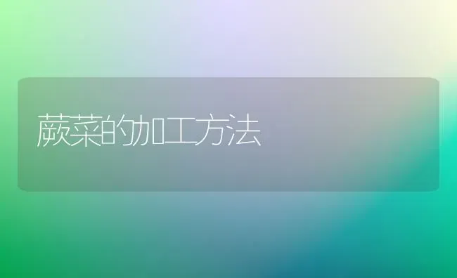 蕨菜的加工方法 | 蔬菜种植