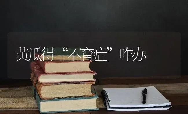 黄瓜得“不育症”咋办 | 蔬菜种植