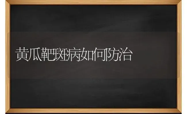 黄瓜靶斑病如何防治 | 蔬菜种植