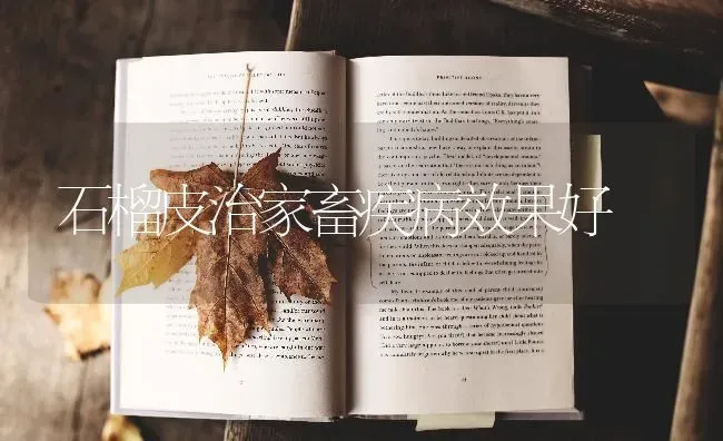 石榴皮治家畜疾病效果好 | 瓜果种植