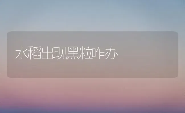 水稻出现黑粒咋办 | 粮油作物种植