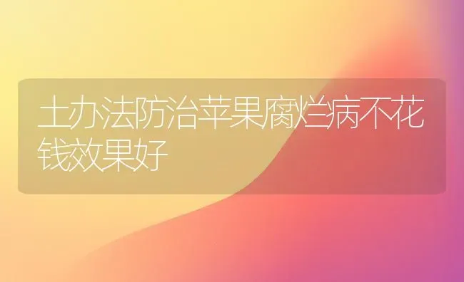 土办法防治苹果腐烂病不花钱效果好 | 瓜果种植
