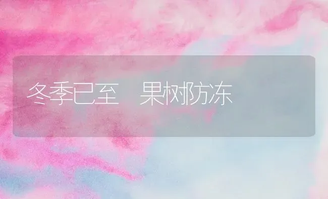 冬季已至 果树防冻 | 瓜果种植