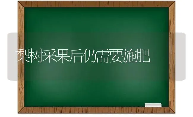 梨树采果后仍需要施肥 | 瓜果种植