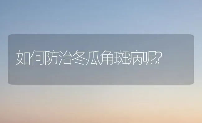 如何防治冬瓜角斑病呢? | 蔬菜种植