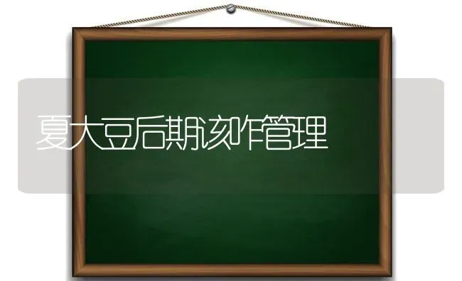 夏大豆后期该咋管理 | 粮油作物种植