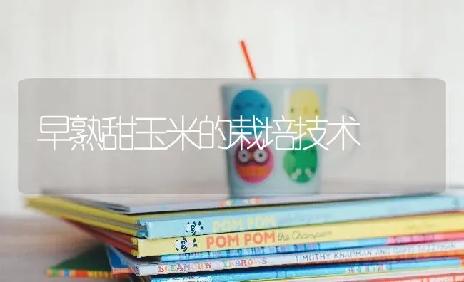 早熟甜玉米的栽培技术 | 粮油作物种植