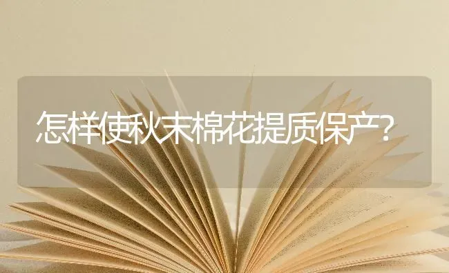 怎样使秋末棉花提质保产？ | 粮油作物种植