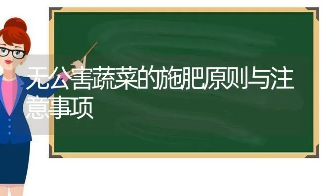 无公害蔬菜的施肥原则与注意事项 | 蔬菜种植