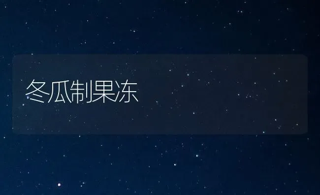 冬瓜制果冻 | 瓜果种植