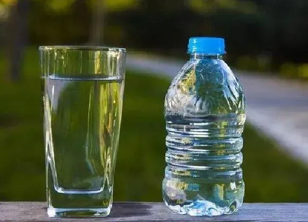 植物浇水|用矿泉水浇花好不好 喝剩的矿泉水浇花方法