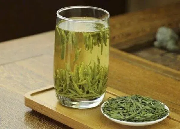 植物浇水|绿茶可以浇花吗