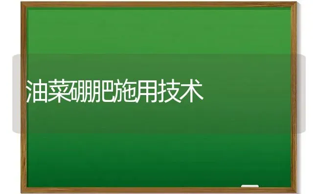 油菜硼肥施用技术 | 粮油作物种植