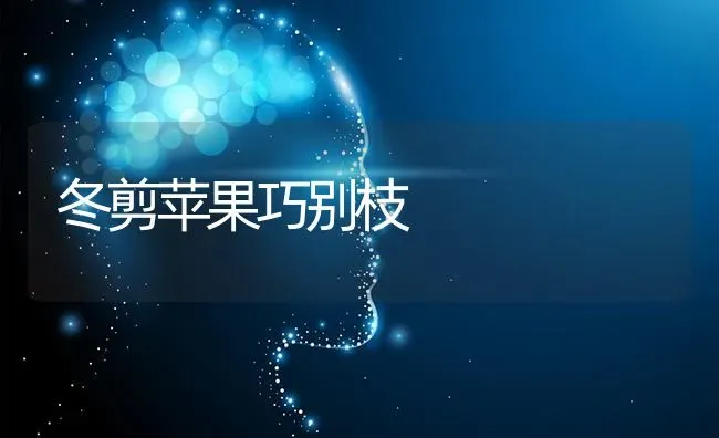 冬剪苹果巧别枝 | 瓜果种植