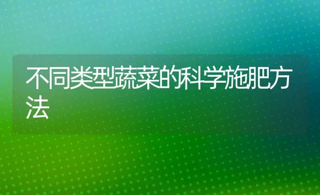 不同类型蔬菜的科学施肥方法 | 蔬菜种植