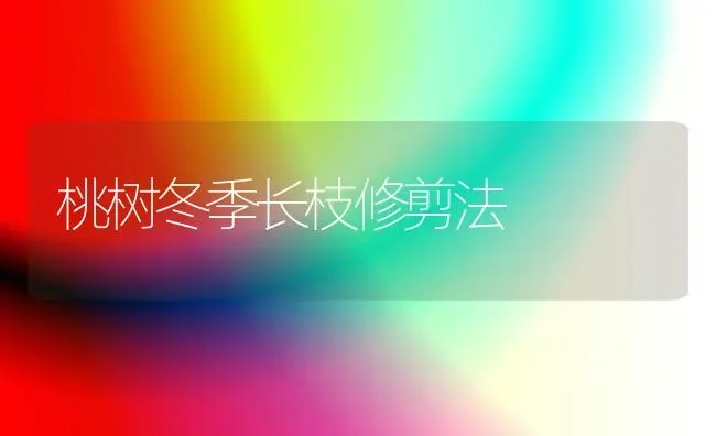 桃树冬季长枝修剪法 | 瓜果种植