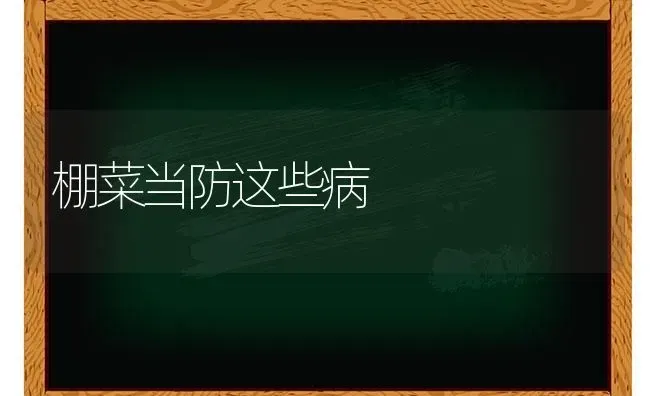 棚菜当防这些病 | 蔬菜种植