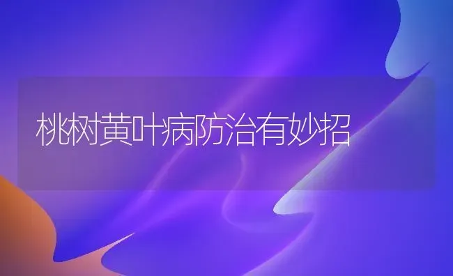 桃树黄叶病防治有妙招 | 瓜果种植