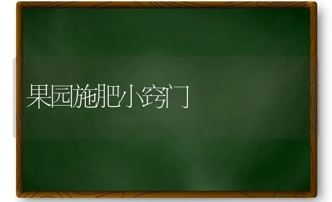 果园施肥小窍门 | 瓜果种植