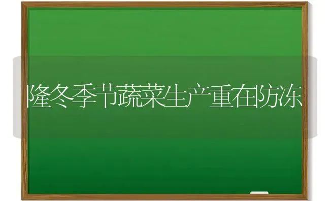 隆冬季节蔬菜生产重在防冻 | 蔬菜种植