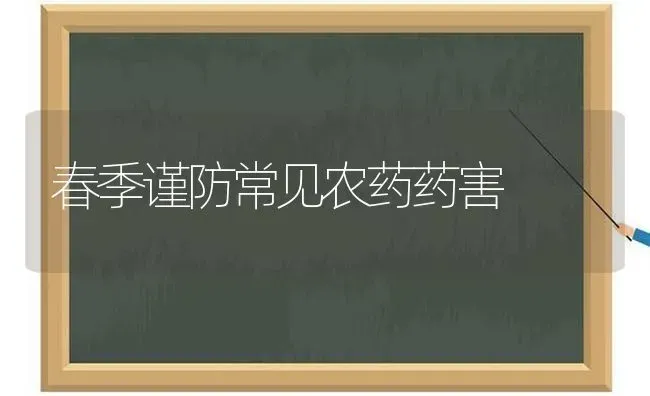 春季谨防常见农药药害 | 种植病虫害防治