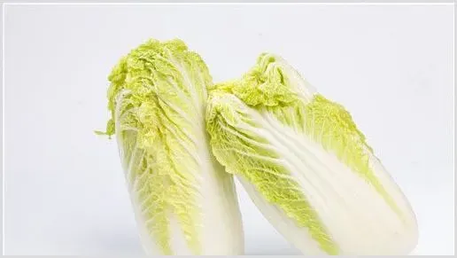 种白菜的方法和步骤？种植白菜有哪些注意事项？ | 耕种资料