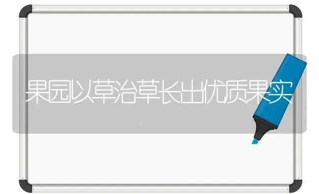 果园以草治草长出优质果实 | 瓜果种植