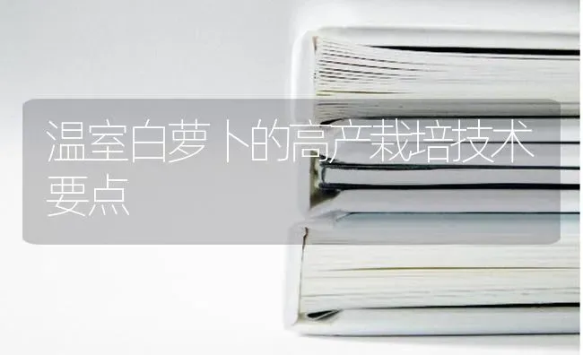 温室白萝卜的高产栽培技术要点 | 蔬菜种植