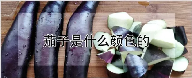 茄子是什么颜色的 | 耕种资料