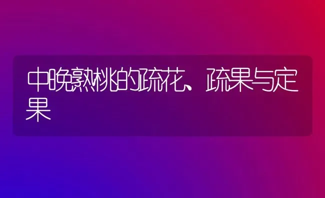 中晚熟桃的疏花、疏果与定果 | 瓜果种植