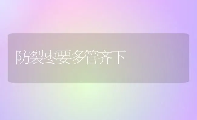 防裂枣要多管齐下 | 瓜果种植