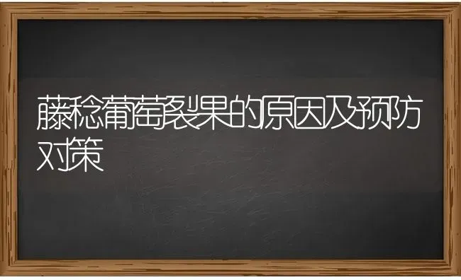 藤稔葡萄裂果的原因及预防对策 | 瓜果种植