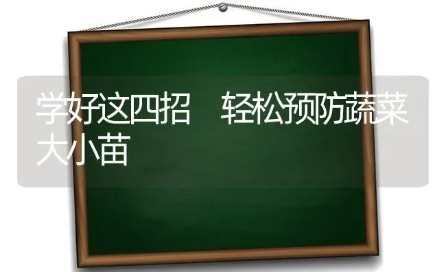 学好这四招 轻松预防蔬菜大小苗 | 蔬菜种植