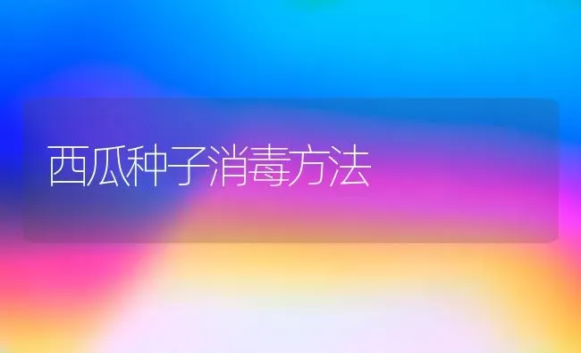 西瓜种子消毒方法 | 瓜果种植