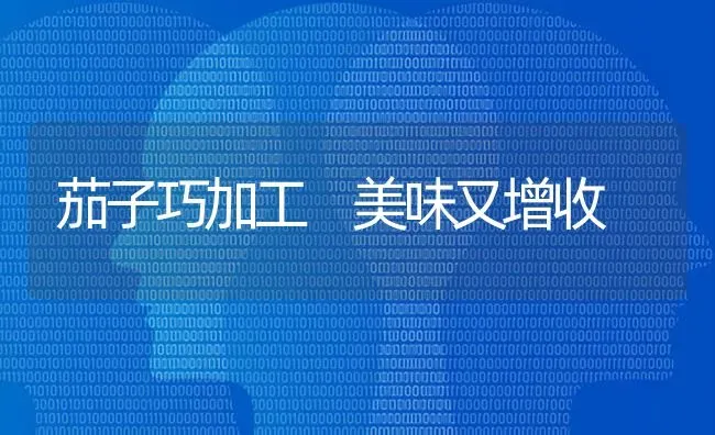 茄子巧加工 美味又增收 | 蔬菜种植